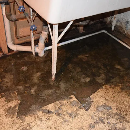 Sewage Backup Concerns
