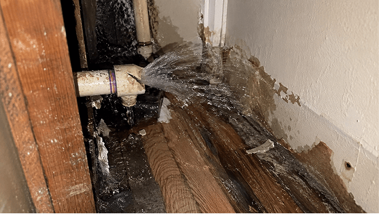 Major Water Leaks