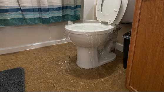 Overflowing Toilets