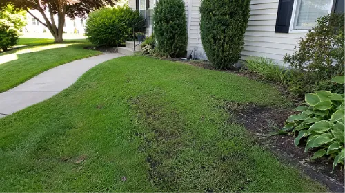 Sewer Line Repair