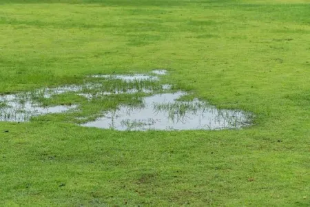 Standing Water Around the Pump
