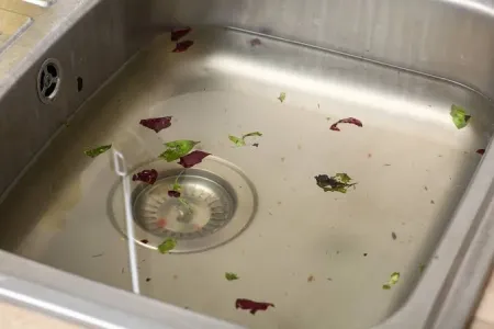 Slow-Draining Sinks